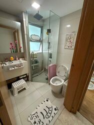 Eight Riversuites (D12), Condominium #498390831